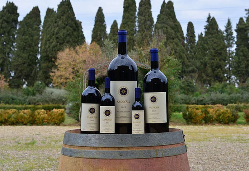 Sassicaia (Winemaking, Taste, Best Wines 2021)